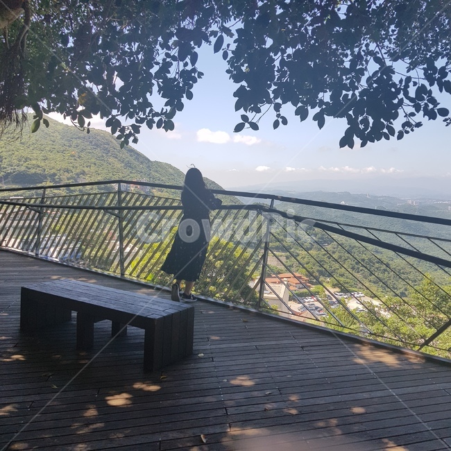 뒷태,지우펀,나무,의자,벤치,산책로,사람,여자,경치