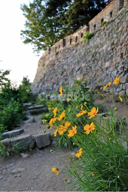남한산성,산성,mountainfortress,namhansanseongfortress,namhansanseong,식물,자연,plants,nature,꽃,flower