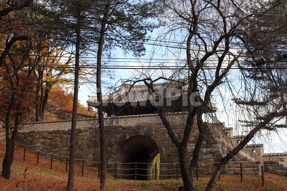 남한산성,가을,낙옆,단풍,성문,가을,계절,fall,autumn,season,한국전통,한국문화,korean traditional,korean culture,건축물,건물외관,exterior,building,structure,architecture,construction