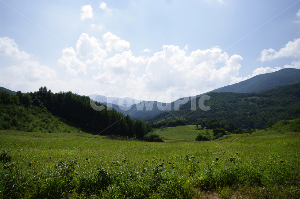 하늘,구름,태백,풍경,자연,여름,자연,풍경,nature,landscape