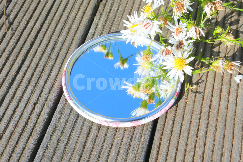 컨셉,꽃,거울,하늘,풀,자연,mirror,꽃,flower