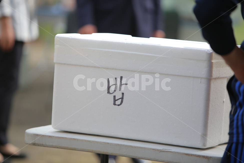 밥,스티로폼,점심,상자,박스