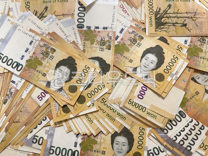 오만원,환전,금전,한국돈,지폐,경제,돈,머니,부자,금융,money