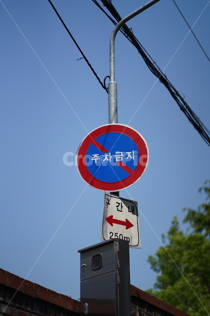 주차금지,표지판,주차,도로표지판,도로표지판