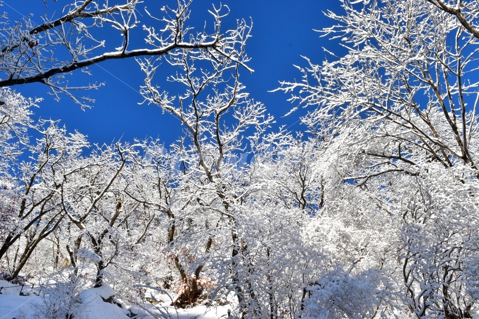 북한산,국립공원,설산,설경,눈,눈꽃,서울,도심지,명산,겨울,여행,국내여행,Seoul,Korea,National,Park,풍경,크리스마스,성탄절,화이트크리스마스,눈꽃풍경,비경,산행,등산,100대명산,기암,바위산,겨울,계절,winter,season,식물,자연,plants,nature,나무,trees,wood