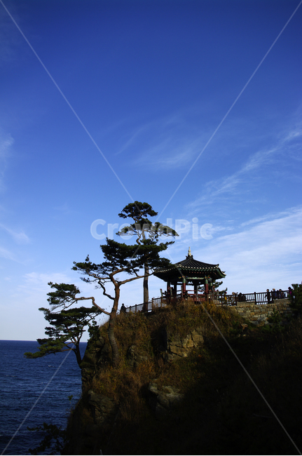 하늘,구름,소나무,나무,풍경,바다,자연,풍경,nature,landscape,한국자연풍경,한국자연경관,korea nature landscape,outdoors,옥외