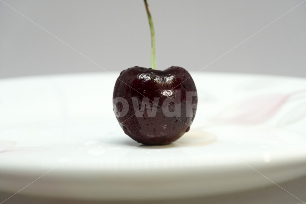 체리,앵두,과일,열매,프루트,후루트,fruit,cherry,음식,사물,물기,물방울,수분,접시,비타민,과실,디저트,desert,food,오브젝트,object,농산물,농작물,식재료,식자재,식품,신선도,신선하다,신선한,싱싱하다,싱싱한,meal,vegetable,먹거리,먹을거리,먹을거,먹을것,음식,식재료,요리,food,cook,meal,dishes,food reserves,과일,열매,fruit