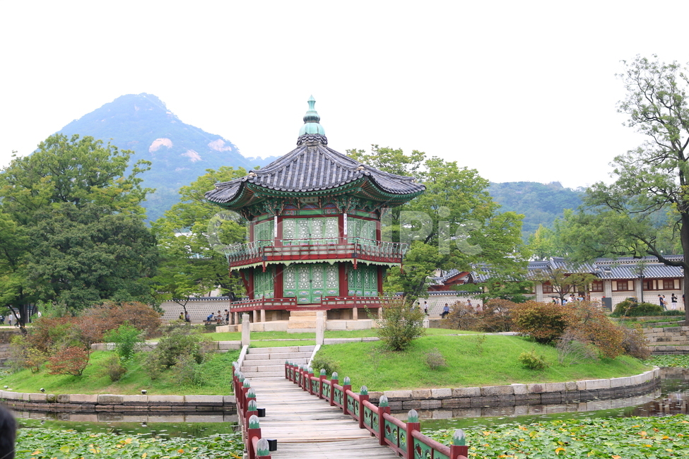 경복궁,팔각정,연못,광화문,나무,연잎,물,서울,한국전통,한국문화,korean traditional,korean culture,랜드마크,landmark,tourist attraction,한국랜드마크,한국관광지,한국명소,korea landmark,korea tourist attraction