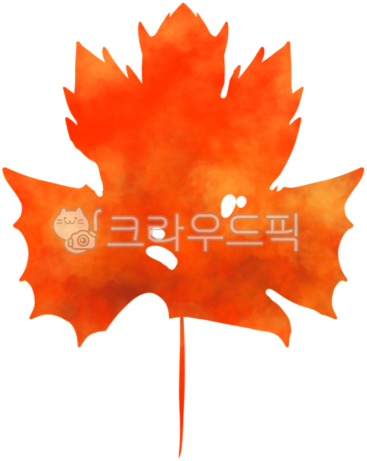 Fallen leaves with holes,leaves,fallen leaves with holes,insect-eaten leaves,perforated leaves,fallen leaves with holes,maple leaves,maple leaves,watercolor,watercolor maple leaves,watercolor maple leaves,fall,pretty maple leaves,fall sensibi