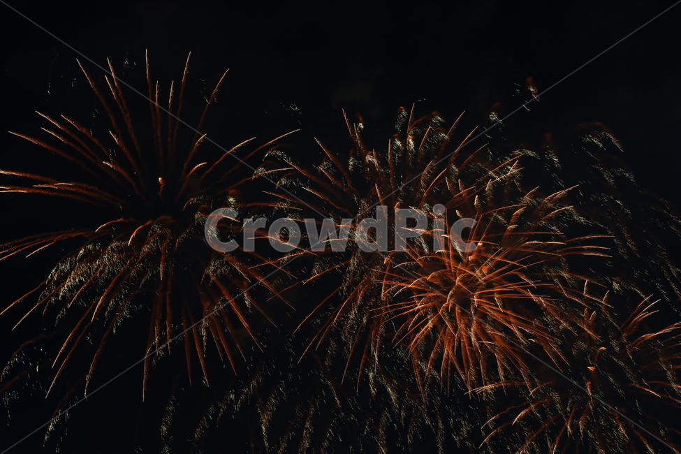 불꽃,축제,불꽃축제,불꽃놀이,야경,야간,빛,빛축제,밤하늘,여의도,여의도불꽃축제,여의도불꽃놀이,서울,야경,밤,풍경,nightscape,night,landscape,축제,행사,festival,carnival,event