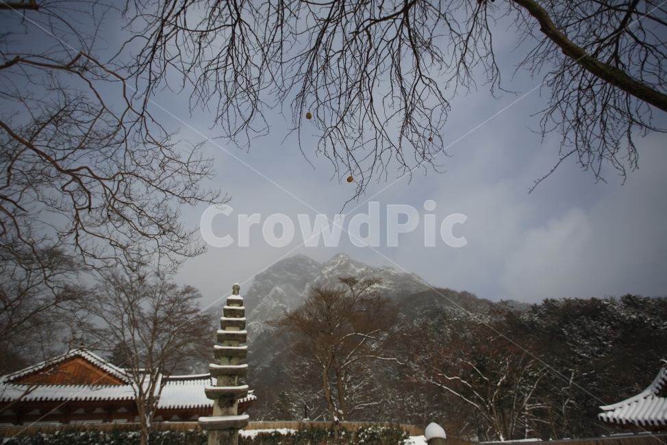 장성,설경,자연,풍경,눈,겨울,계절,winter,season,한국전통,한국문화,korean traditional,korean culture,종교,신앙,religion,belief,faith