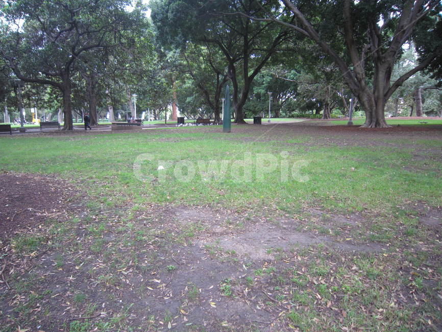잔디,grass,식물,park,공원,자연,풍경,nature,landscape
