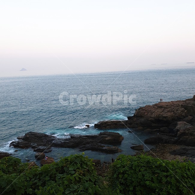 바다,바위,파도,자연,나무,자연,풍경,nature,landscape,promontory,곶