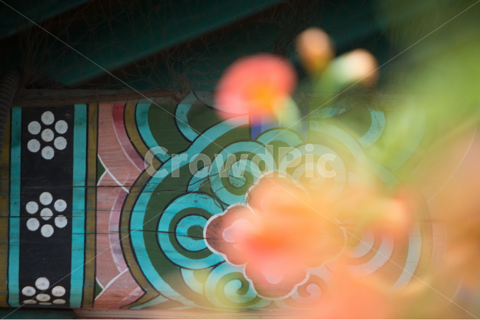 능소화,능소화꽃,꽃,플라워,trumpetcreeper,flower,한국전통,한국문화,korean traditional,korean culture,식물,자연,plants,nature,꽃,flower