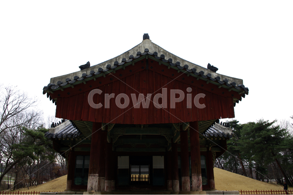 왕릉,풍경,한국,세계문화유산,전각,하늘,전통,릉,한국전통,한국문화,korean traditional,korean culture,랜드마크,landmark,tourist attraction,한국랜드마크,한국관광지,한국명소,korea landmark,korea tourist attraction,건축물,건물외관,exterior,building,structure,architecture,construction