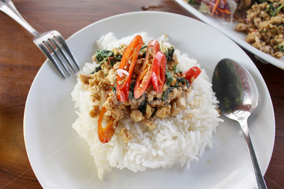 음식,태국,태국음식,밥,식사,음식,식재료,요리,food,cook,meal,dishes,food reserves,양식,서양음식,서양요리,western food,western dishes,western meal,western cook