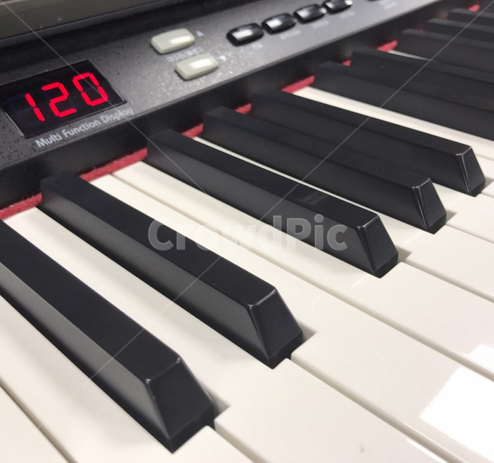 피아노,음악,뮤직,악기,piano,코드