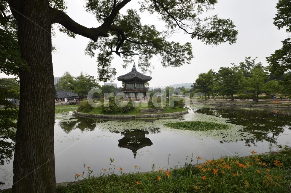 경복궁,향원정,여름,후원,임금,조선,역사,저수지,궁,한국전통,한국문화,korean traditional,korean culture,랜드마크,landmark,tourist attraction,한국랜드마크,한국관광지,한국명소,korea landmark,korea tourist attraction