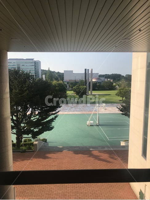 학교,자연,대학교,농구,휴식