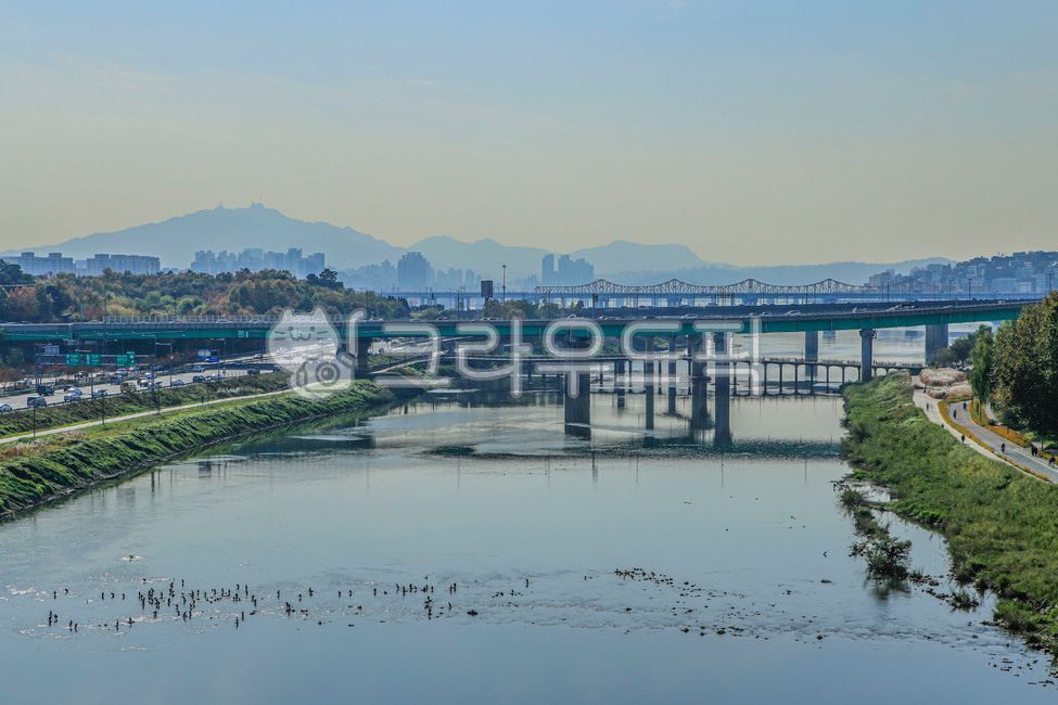 서울,응봉산,중랑천,동부간선도로,응봉교,용비교,동호대교,도로,자연,옥외,물,나무,건물,다리,road,nature,outdoors,water,tree,building,bridge
