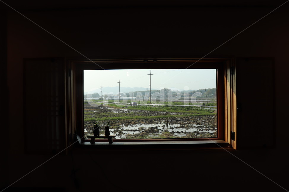 homedecor,가정장식,window,창문,논,시골,시골풍경,창밖풍경
