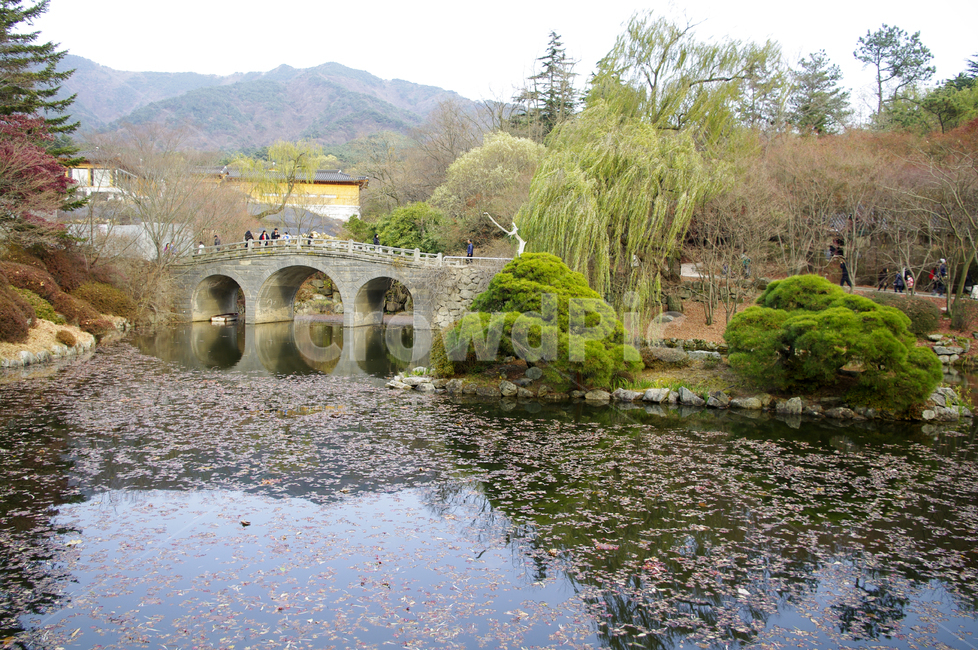 연못,가을,fall,나무,식물,plant,단풍,잎,풍경,다리,자연,풍경,nature,landscape,water,물,outdoors,옥외,building,건물