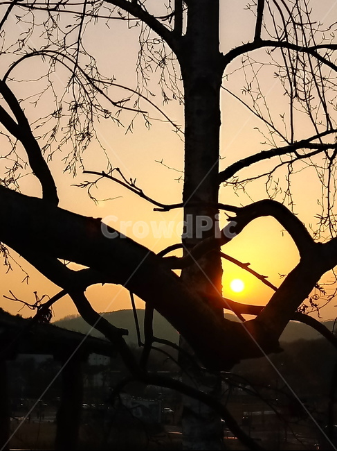 석양,일몰,태양,옥외,붉은하늘,하늘,sunset,outdoors,sunlight,황혼,경치,sky,redsky,nature,자연,풍경,nature,landscape