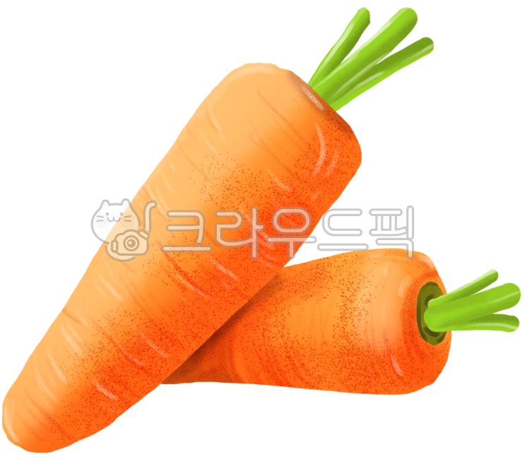 carrot,당근,food,음식,vegetable,채소