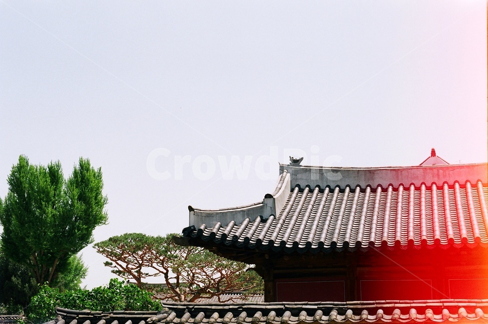 한국전통,건축물,빛바램,필름사진,architecture,문화재,화성,한옥,korea
