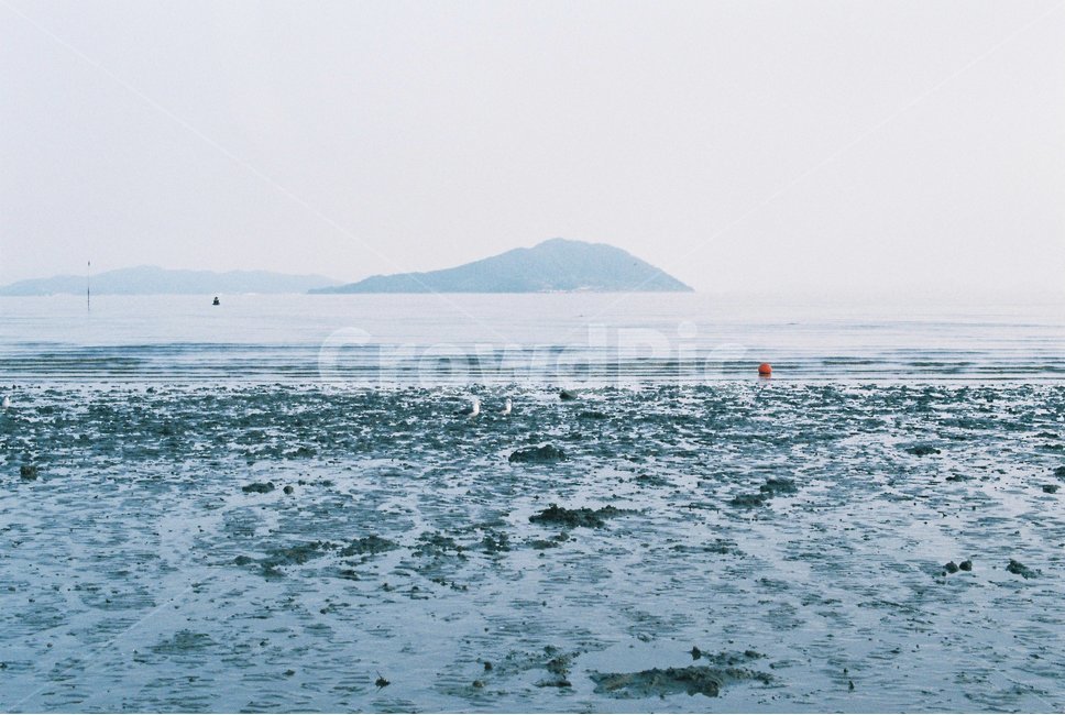 바다,풍경,갯벌,해변,sea