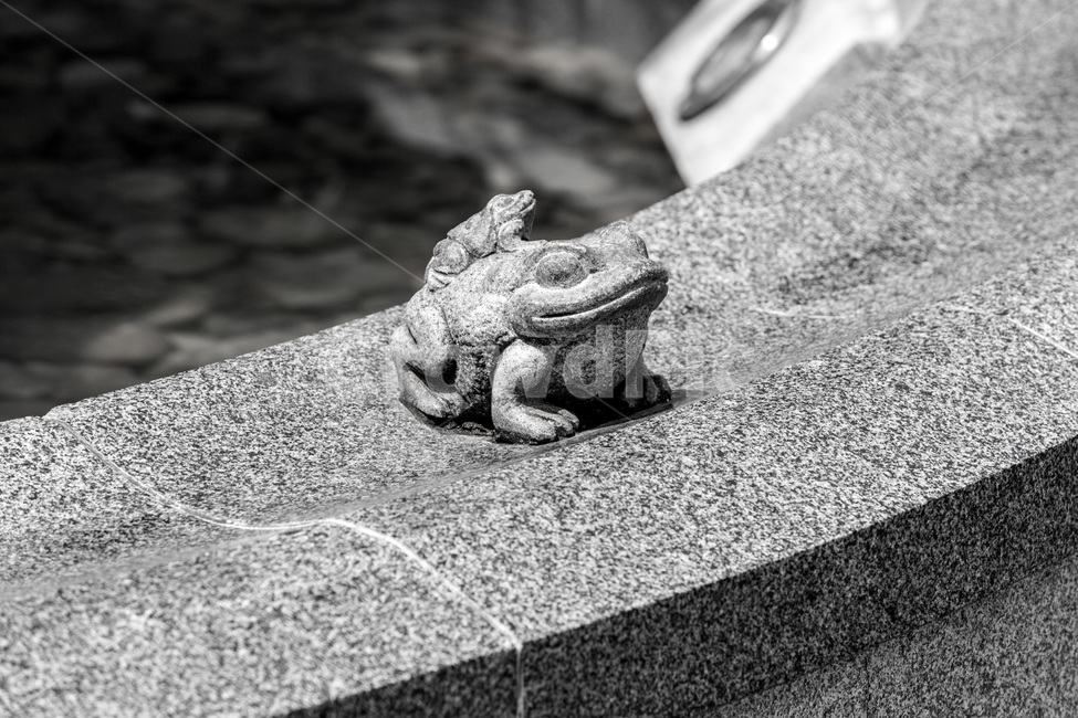 조형물,석공예,조각,두꺼비,장식,한국전통,한국문화,korean traditional,korean culture,조각상,동상,석상,조형물,statue,bronze statue,stone statue,흑백,모노톤,monochrome,black and white
