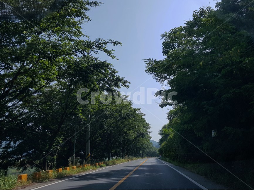 자연,나무,숲,하늘,구름,여유,휴식,green,감성,도로,자연,풍경,nature,landscape,road,asphalt,아스팔트,freeway,고속 도로,highway,고속도로