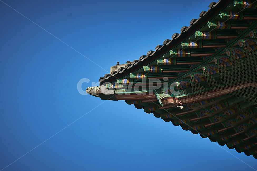 korea,korean,traditional,architecture,한국,대한민국,정통,덕수궁,서울,palace,seoul,building,건물,한국전통,한국문화,korean traditional,korean culture,건축물,건물외관,exterior,building,structure,architecture,construction