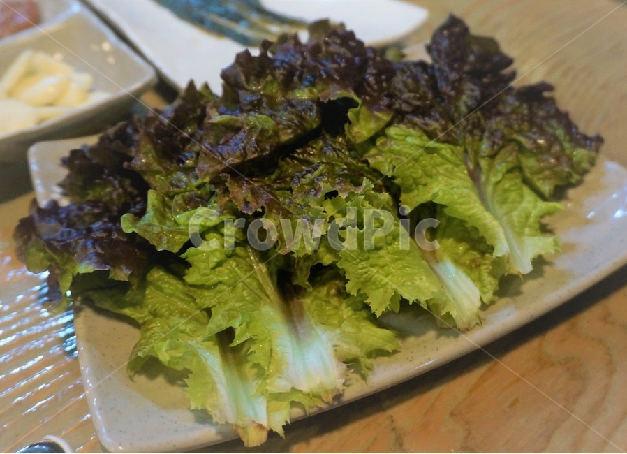 상추,야채,채소,vegetables,먹거리,초록채소,채소,야채,vegetables