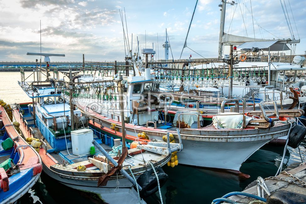 Jeju Island,Doduhang Port,Dodu Breakwater,Breakwater,Harbor,Sea,Boat,Fishing Boat,Squid Boat,Hairtail Boat,Lighting,Light Bulb,Ship,Means of Transportation,Sky,Cloud,Sunrise,Sunset,Pier,Fishing,Fishing Boat,Fisheries,Fishing Boat,Wh