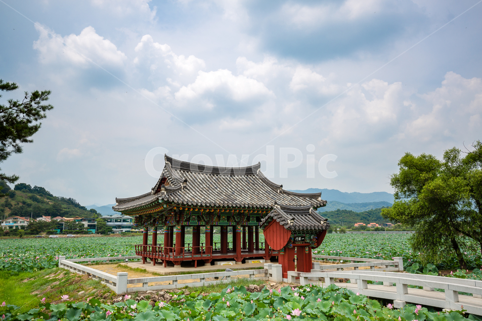정자,한옥,연못,연꽃,구름,하늘,한국전통,한국문화,korean traditional,korean culture,건축물,건물외관,exterior,building,structure,architecture,construction