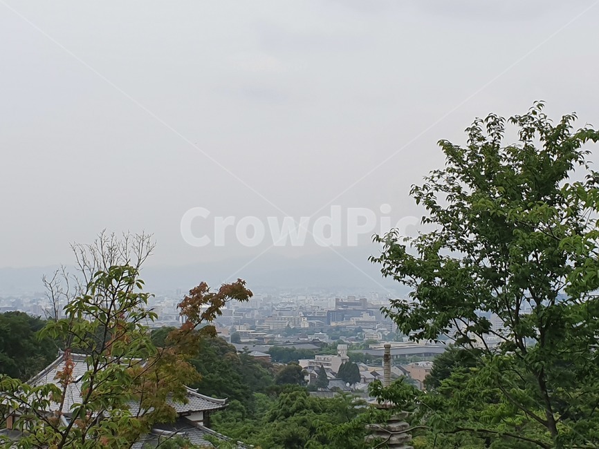 일본,일본거리,일본풍경,교토,교토신사,하늘