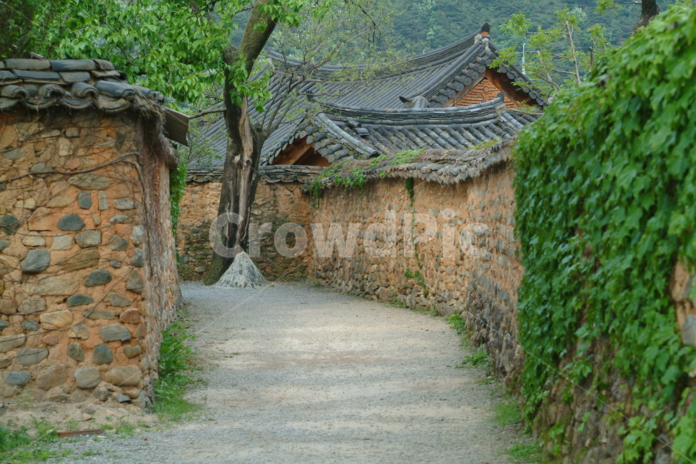 고가,골목길,돌담,기와집,덩쿨,한국전통,한국문화,korean traditional,korean culture,건축물,건물외관,exterior,building,structure,architecture,construction
