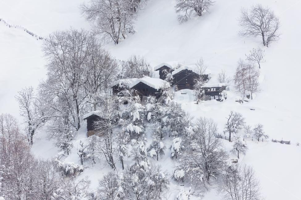 알프스산맥,스위스,겨울,눈,산,숲,구름,나무,겨울,계절,winter,season,자연,풍경,nature,landscape,해외,외국,세계,foreign,oversea,world,세계자연풍경,해외자연풍경,외국자연풍경,world nature landscape,outdoors,옥외,storm,폭풍,blizzard,눈보라,snow