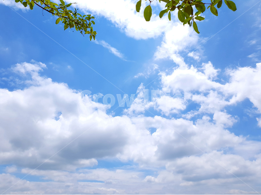 하늘,구름,파랑,풍경,여름,자연,풍경,nature,landscape,outdoors,옥외,sky,azure sky,푸른 하늘
