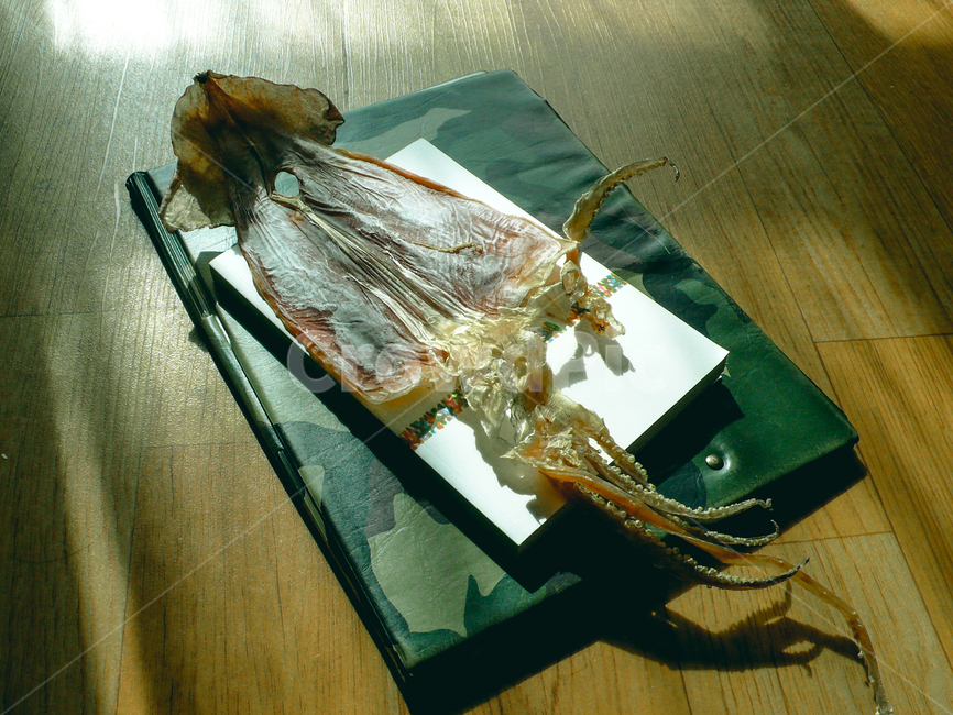 squid,militaryseason,afternoon,driedsquid,sunlight,오징어,군대결재철,오후,마른오징어,햇빛