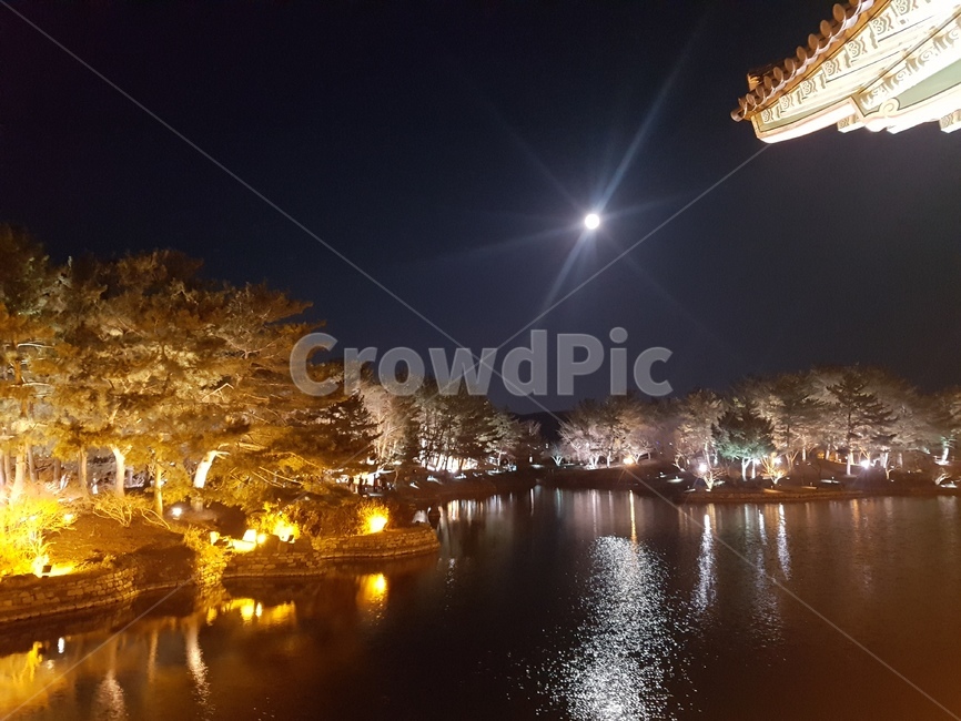 경주,동궁과월지,안압지,야경,전통,tradition,gyeongju,건축물,building,korea,신라