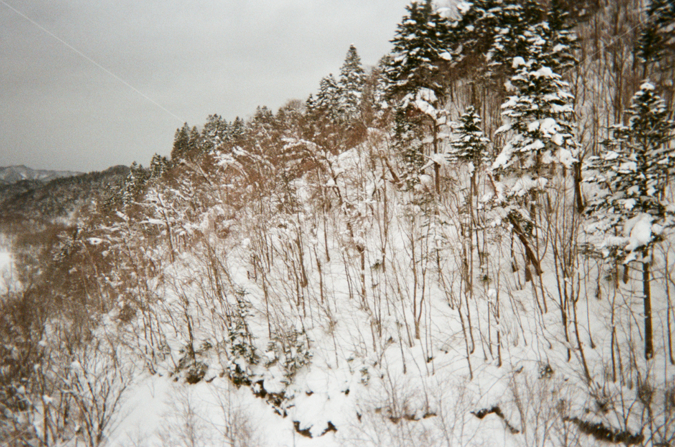 눈덮힌산,눈덮힌강,설산,겨울산,겨울풍경,홋카이도,설경,겨울,계절,winter,season,자연,풍경,nature,landscape,outdoors,옥외,storm,폭풍,snow,눈,blizzard,눈보라,tree,나무,plant,식물