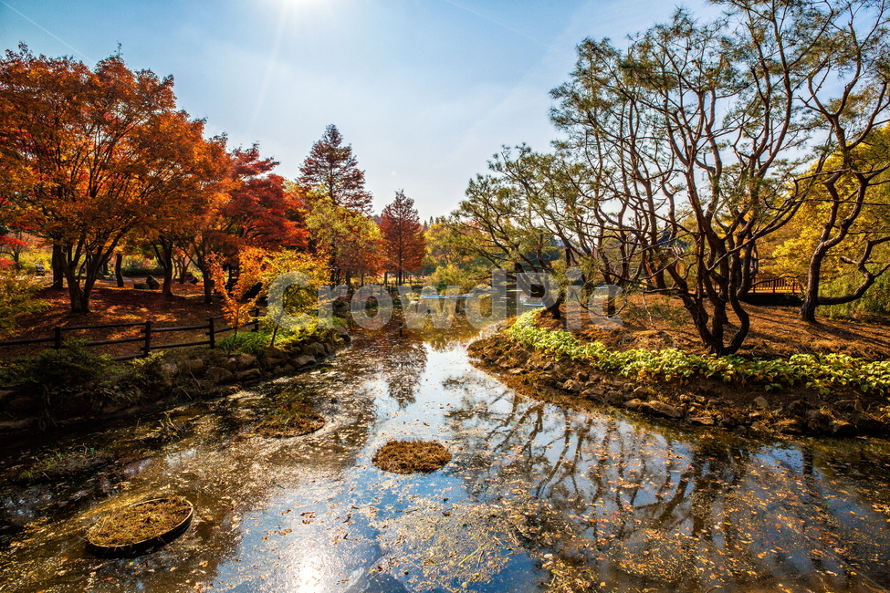 단풍,가을풍경,풍경,가을,가을날,landscape,가을길,가을,계절,fall,autumn,season,자연,풍경,nature,landscape,한국자연풍경,한국자연경관,korea nature landscape,outdoors,옥외