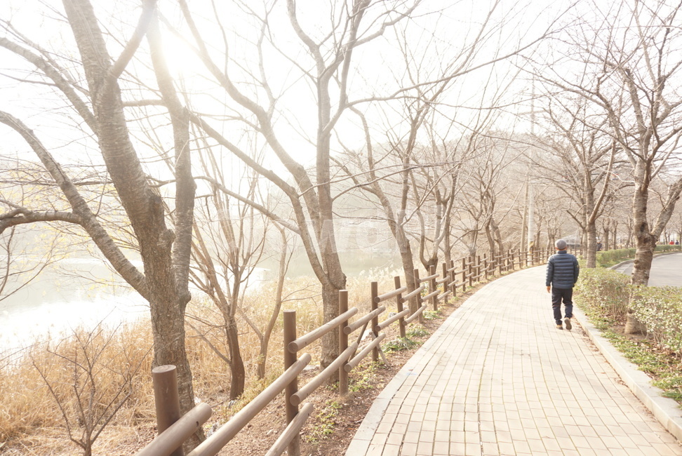 산책,호수,호숫가,walk,takeawalk,풍경,거리,stroll,감성사진,선암호수공원,울산선암호수공원,선암동,호수공원,산책로,나무,자연,풍경,nature,landscape,사람,인물,인간,human,person,남성,남자,man,male,path,통로