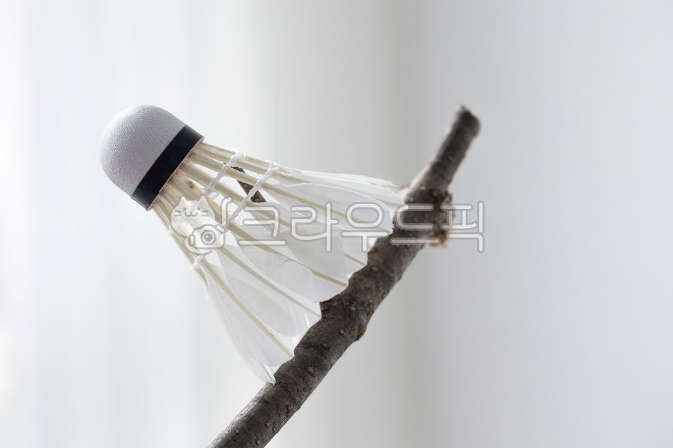 배드민턴,공,배드민턴공,스포츠,셔틀콕,운동,콕,취미,레저,사물