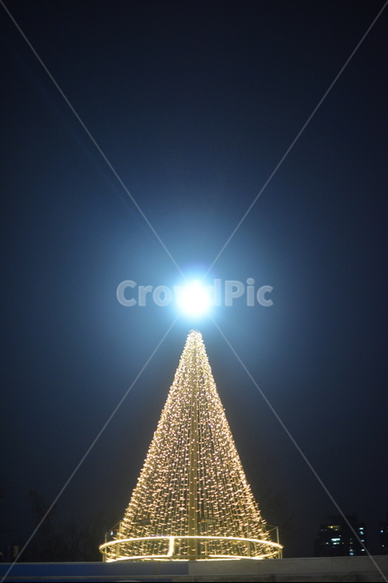 등불,야경,트리,불빛,조명,메리크리스마스,성탄절,merry christmas