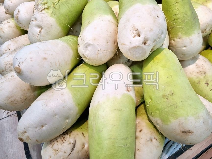 음식,food,무,무우,radish,채소,vegetable,식재료,요리재료,음식재료,foodstuff,cookingmaterial,foodmaterial