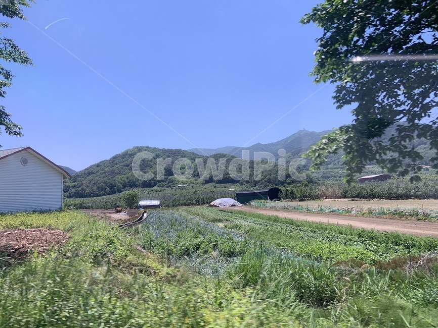 산,나무,구름,농촌,풀