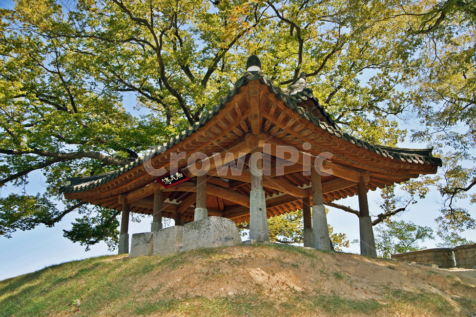 연미정,월곶진,강화도,유형문화재제24호,민도리집,강화팔경,정자나무,한국전통,한국문화,korean traditional,korean culture,건축물,건물외관,exterior,building,structure,architecture,construction